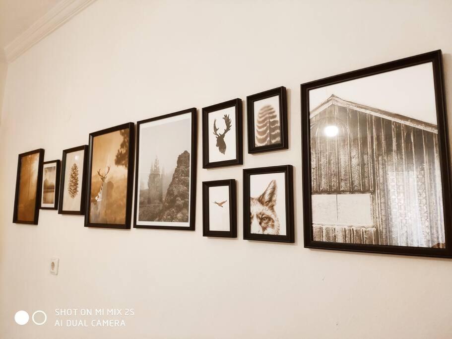 Evaggelia'S Apartments 1 Διαμονή Στο Κέντρο Kozáni Eksteriør bilde